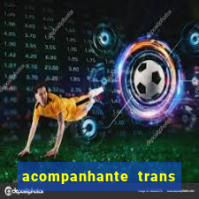 acompanhante trans santos sp